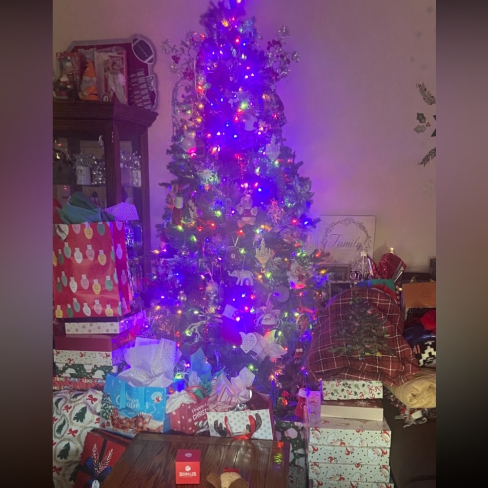 🎄 HAPPY HOLIDAYS 🎄
